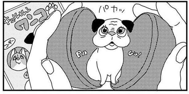 飼い主の意地にかけて止められない！カプセルトイにムキになってしまうわけ (C)らくだ／KADOKAWA