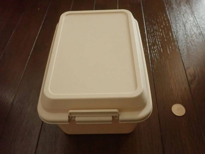 DAISO(ダイソー)：環境にやさしいコンテナボックス 3L