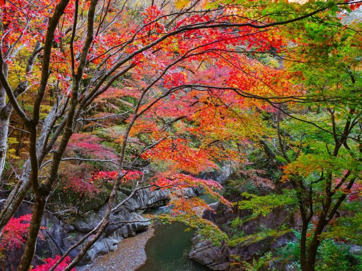 All About ニュース編集部が全国250人を対象に実施した「長期休みに行きたい穴場秘境に関するアンケート」の調査結果から、「埼玉県の穴場秘境」ランキングを発表！ 2位「中津峡」を抑えた1位は？