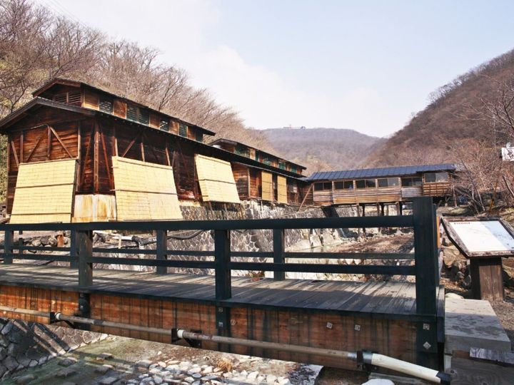 All About ニュース編集部が全国250人を対象に実施した温泉地の調査結果から、長期休みに行きたいと思う「栃木県（日光・鬼怒川・那須エリア）の温泉地」ランキングを発表！ 2位「那須湯本温泉」を抑えた1位は？