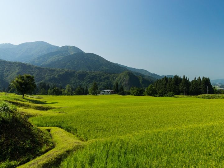 All About ニュース編集部が全国250人を対象に実施した「老後に住みたい自治体に関するアンケート」の調査結果から、老後に住みたい「新潟県の自治体」ランキングを発表！ 2位「魚沼市」を抑えた1位は？