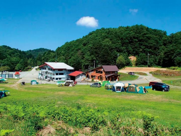 ワークマンコスパ最強アイテム！冬におすすめの機能性が高いレディースシューズ3選