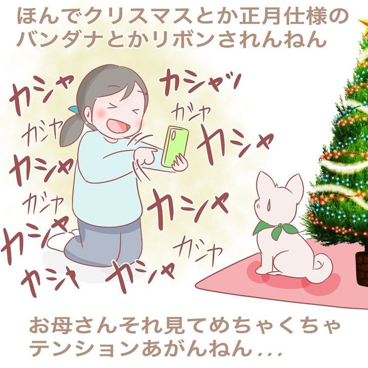 年末年始のワンコたちの気持ちについて描いた漫画のカット（ねねつんママさん提供）