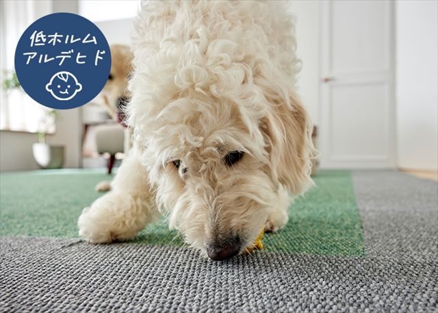 フローループ２