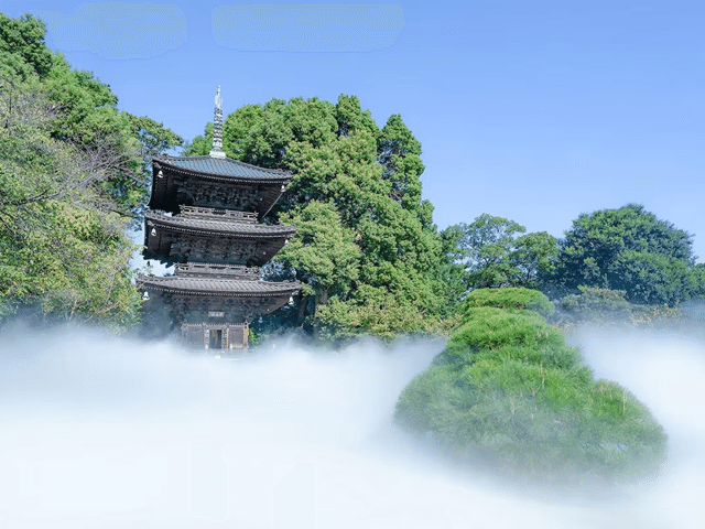 ホテルズドットコム