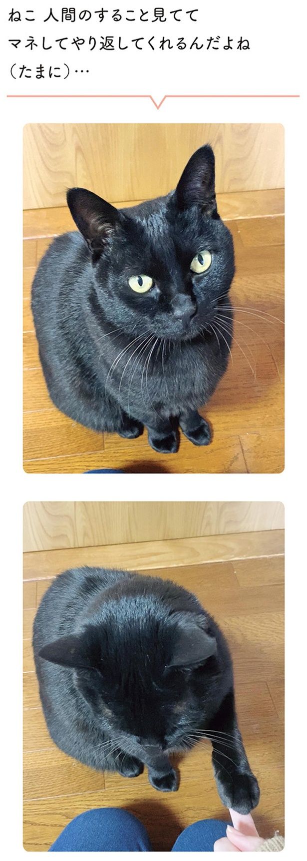 マネしてやり返してくれるんだよね（たまに）… （C）AKR／KADOKAWA