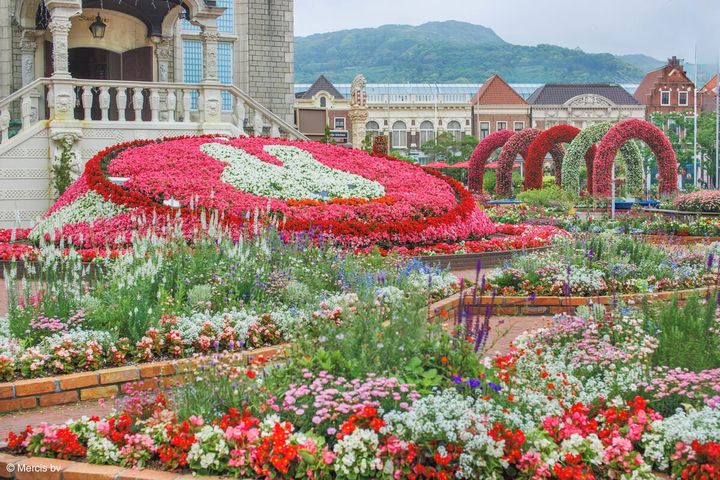 ミッフィーのフラワーブルームガーデン