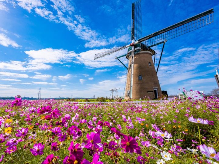 All About ニュース編集部が全国250人を対象に実施した「職場へのお土産に関するアンケート」の調査結果から、職場で配りたい「千葉県のお土産」ランキングを発表！ 2位「チーバくんサブレー」を抑えた1位は？