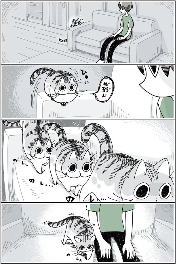 となりに座るネコ （C）キュルZ／KADOKAWA