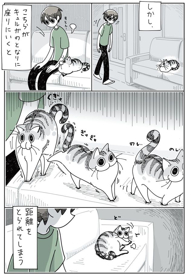 こちらが座りにいくと… （C）キュルZ／KADOKAWA