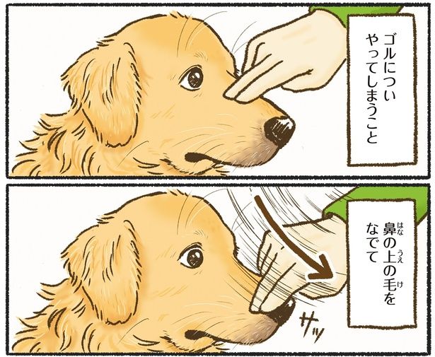 鼻の上の毛をなでて （C）かんち（8kanchi8）／KADOKAWA