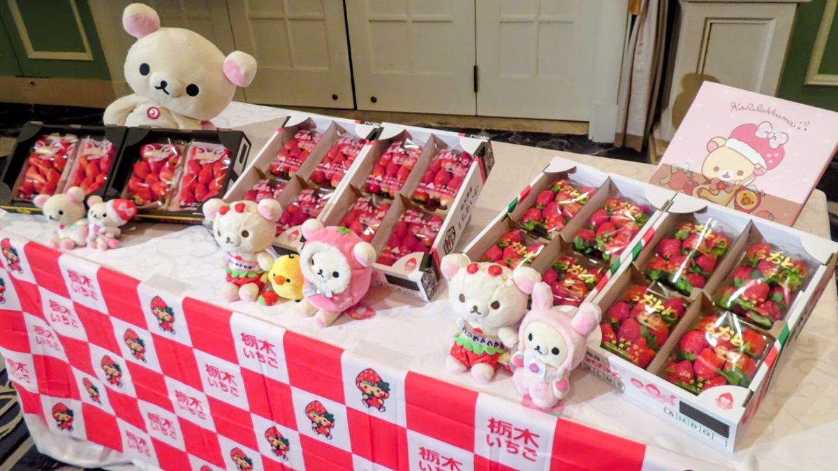 とちぎのいちご大使”コリラックマが「いちご王国・栃木」をアピール