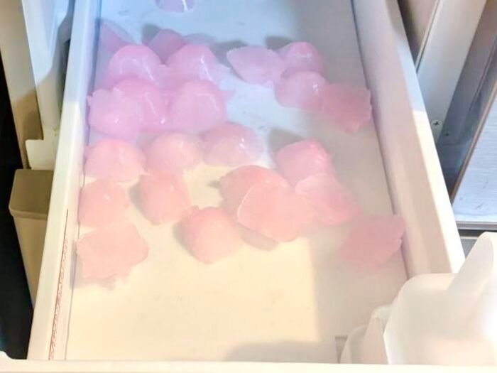 冷蔵庫の「製氷機」のお手入れ、忘れてない？簡単にお掃除できるアイテムがあるんです♪