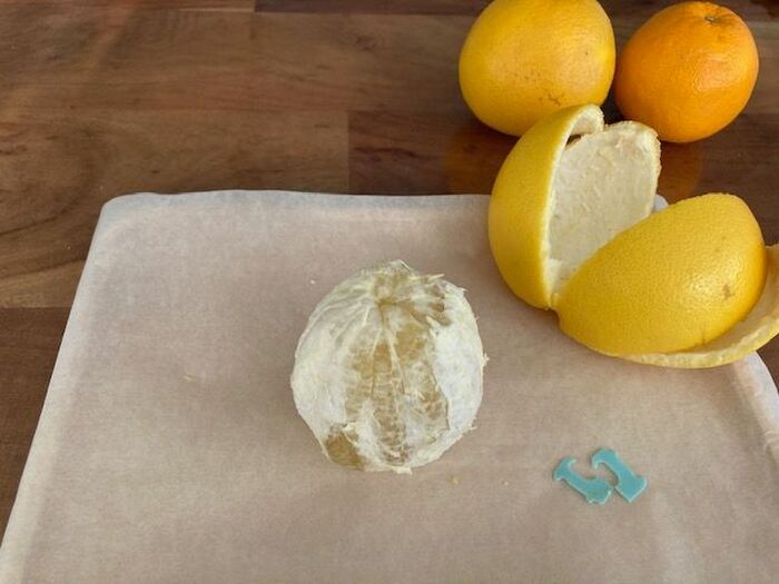 パン袋の『留め具』をカット！→便利グッズとして生まれ変わる！？意外な使い道をチェック