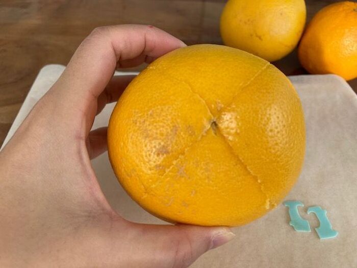 パン袋の『留め具』をカット！→便利グッズとして生まれ変わる！？意外な使い道をチェック