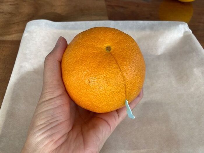 パン袋の『留め具』をカット！→便利グッズとして生まれ変わる！？意外な使い道をチェック