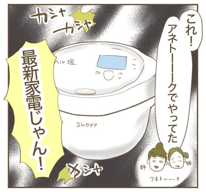 インフルエンサー気取りママ友を成敗した件／ねぼすけ