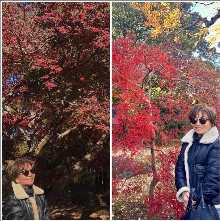 kotokoさん12月ブログ_紅葉と記念写真を