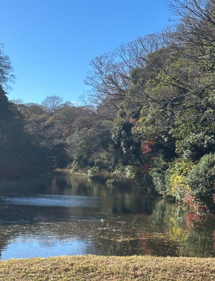 kotokoさん12月ブログ_道灌堀