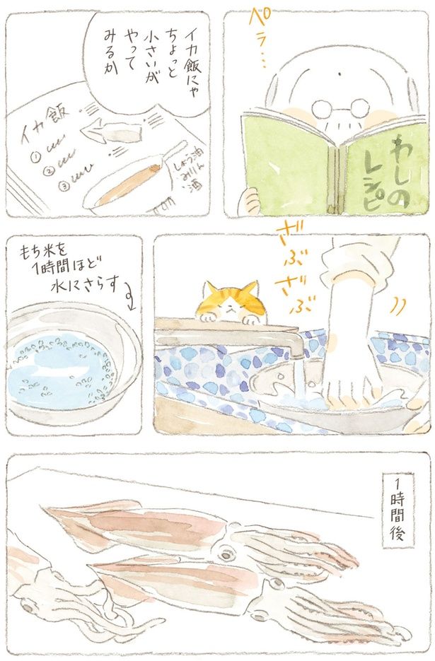 イカ飯にゃちょっと小さいがやってみるか （C）ねこまき（ミューズワーク）／KADOKAWA