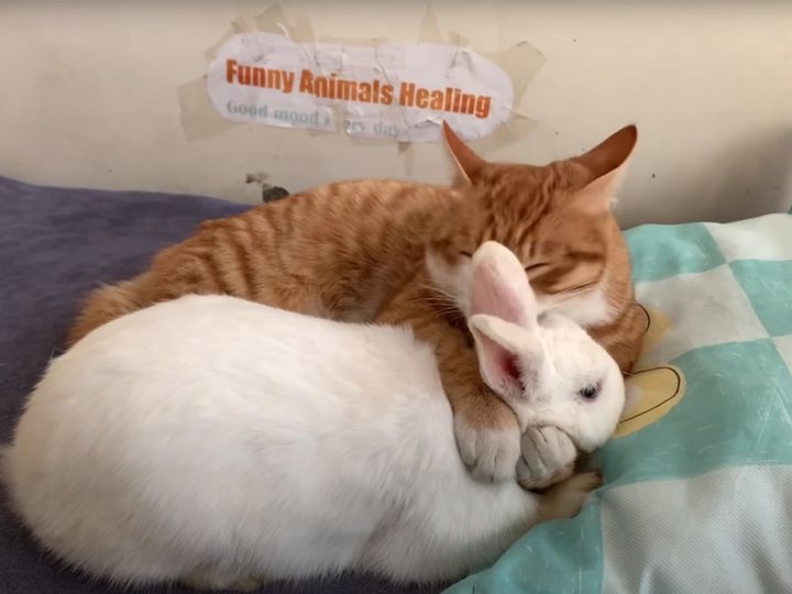 みんなのことが大好き！