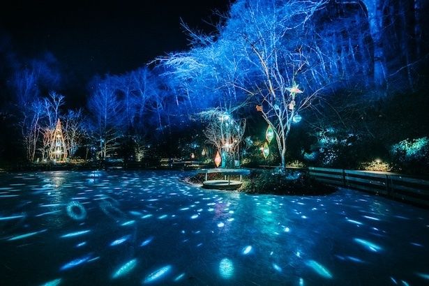 スターダスト・アイスリンク(イメージ)