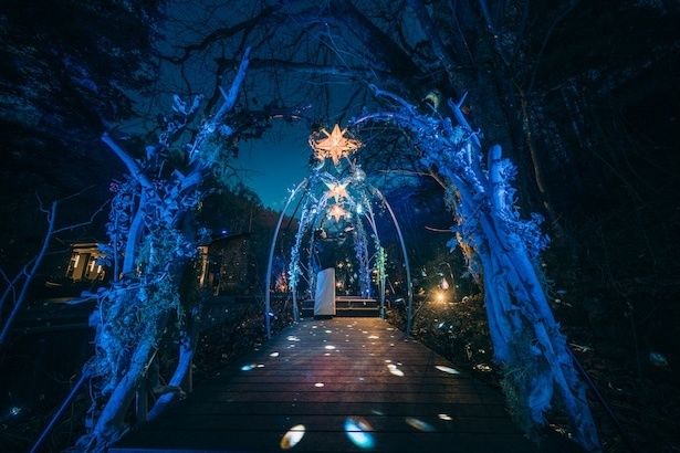 【写真】夜空の星屑を歩くような没入感が味わえる「星屑のトンネル」を通ってリンクへ