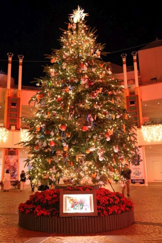 クリスマスツリー(夜)