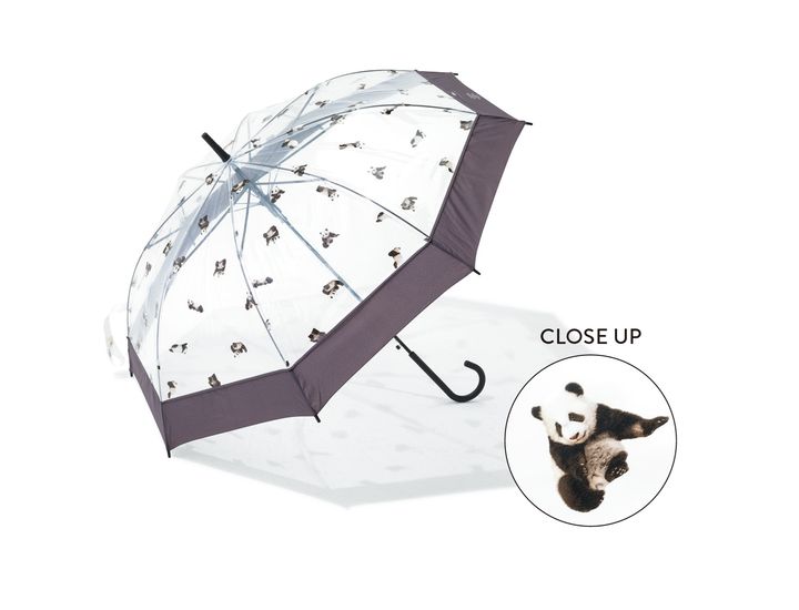 ふわふわの赤ちゃんパンダが全面にちりばめられたデザインの傘。