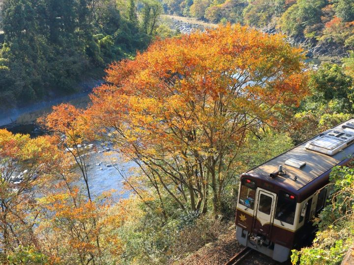 All About ニュース編集部が全国211人を対象に実施した「北陸地方・群馬県の私立進学校に関するアンケート」の調査結果から、「優秀な学生が多いと思う群馬県の私立進学校」ランキングを発表！ 2位「樹徳高等学校」を抑えた1位は？