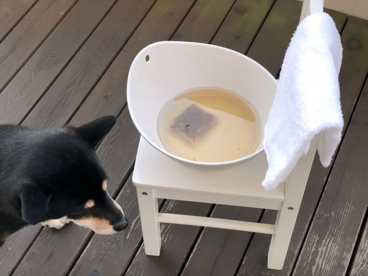 リンデンティーの活用