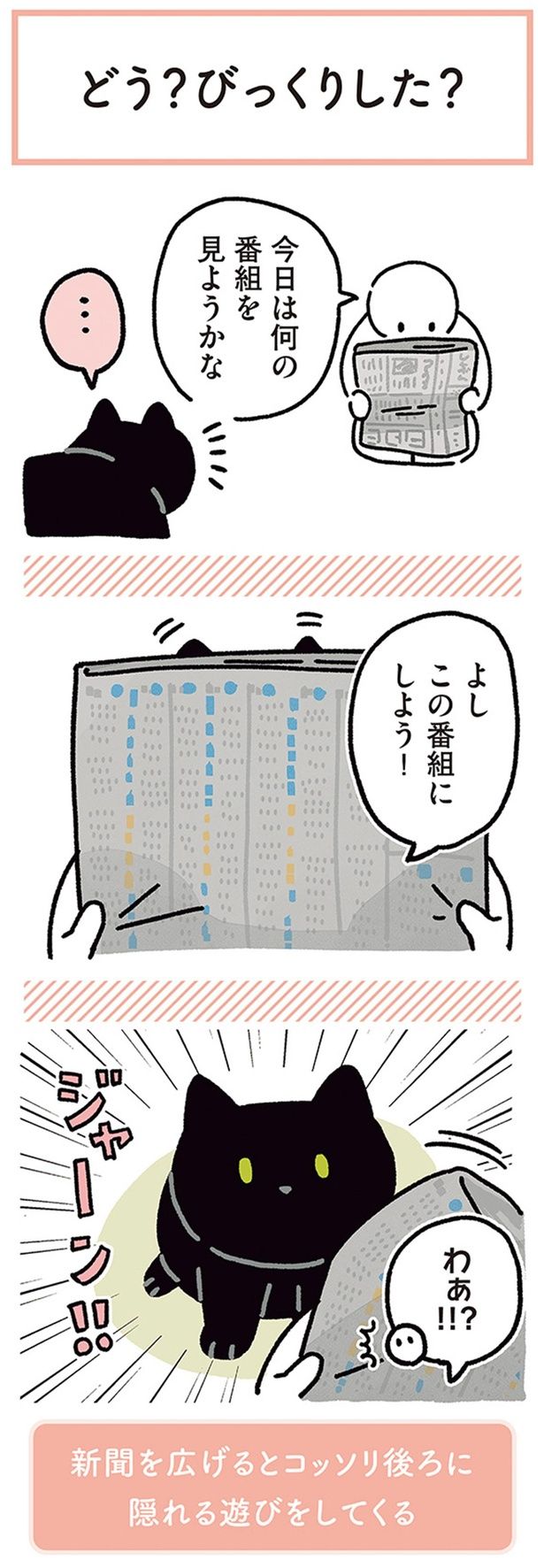 ジャーン！！ （C）AKR／KADOKAWA