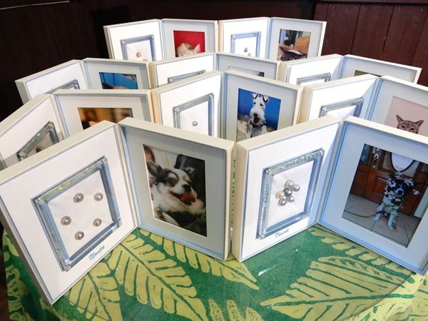 大切なペットが世界に1つの真珠に。約1年間の供養プログラム「真珠葬」受付開始