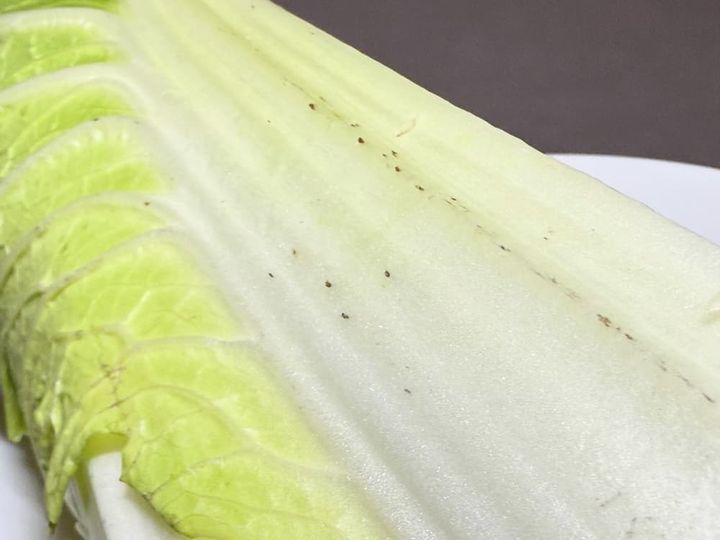 斑点がでた白菜
