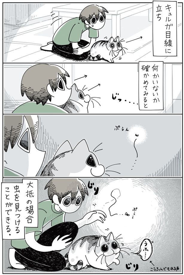 何かいないか確かめてみると （C）キュルZ／KADOKAWA