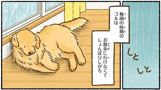 梅雨の時期 （C）かんち（8kanchi8）／KADOKAWA