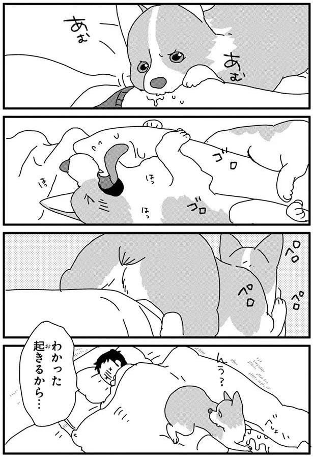 目覚まし1 (C)らくだ／KADOKAWA