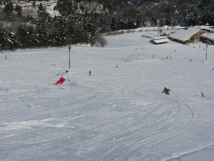 広々としたゲレンデを自由にすべれる