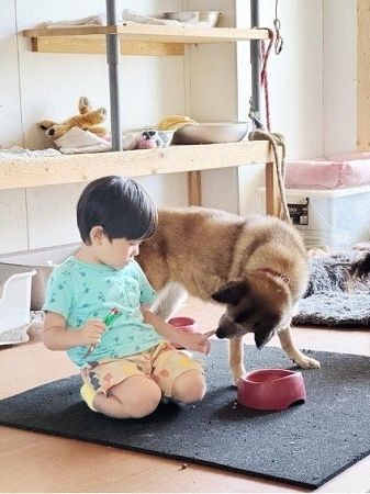 病気などでペットを手放した人の支えに。犬猫の治療費のためのクラファン実施中