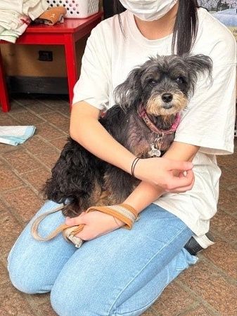 病気などでペットを手放した人の支えに。犬猫の治療費のためのクラファン実施中