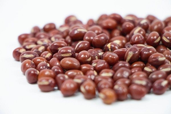 【京都府京都市・東京都中央区】京都・東京の北海道物産展に、札幌のソフトクリーム専門店「みるくはうす」が登場！