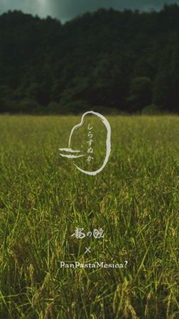 「ぬか×しらす」の“完全食ふりかけ”誕生！忙しい毎日の腸活や栄養補給にも最適