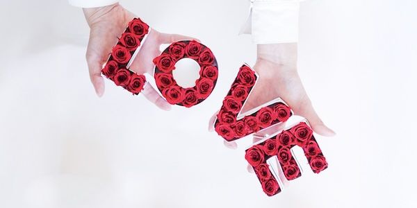 A〜Zで想いを伝える「アルファベットローズ」販売開始。枯れないバラを文字の形に