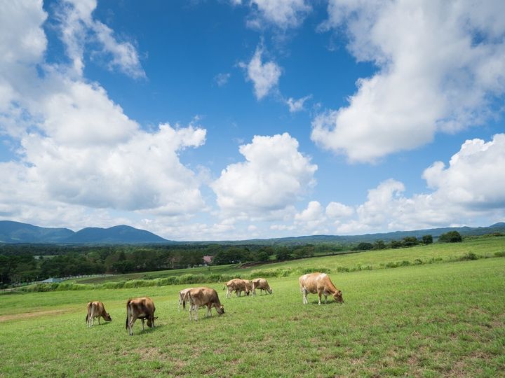 All About ニュース編集部は、全国20～60代の男女250人を対象に「道の駅」に関する独自のアンケート調査を実施。特産品が楽しめると思う「岡山県の道の駅」で1位に選ばれたのは？