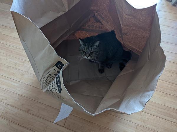 服も靴もバッグも袋にポイポイ入れていくだけ！