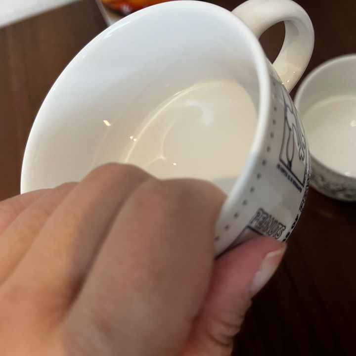 ドデカ付録マグバージョン！飲み物以外に大活躍！