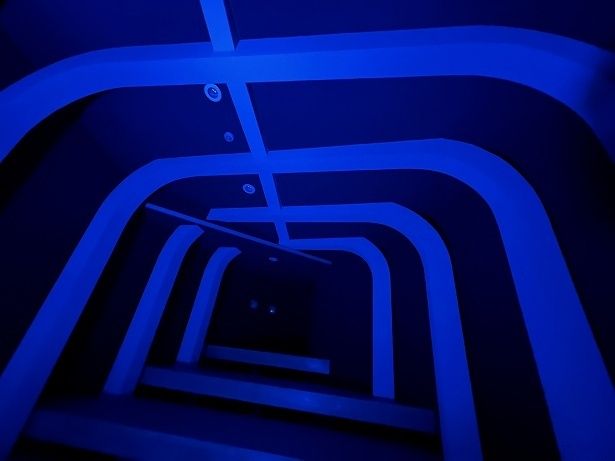 実際に入ったことはないが、クジラのおなかの中にいるような雰囲気