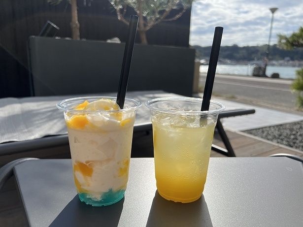 「玄海フローズンドリンク」(左)と「甘夏ソルティースカッシュ」(右)