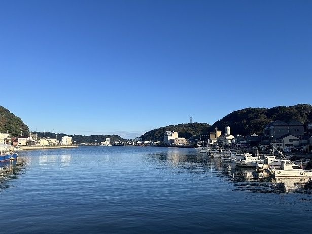 目の前には呼子の港が見える