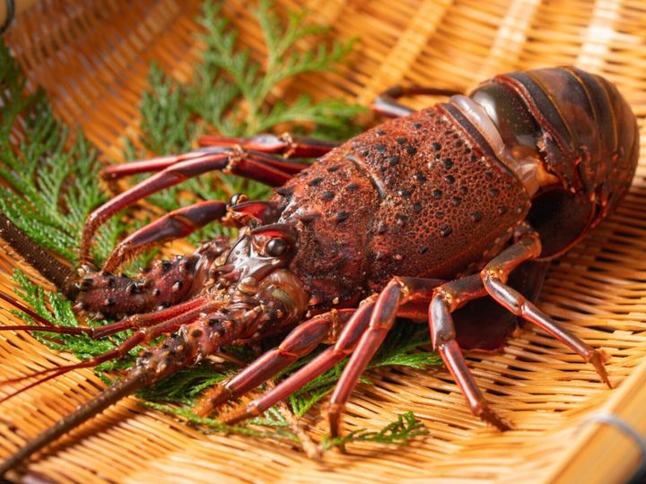 All About ニュース編集部が全国250人を対象に実施したご当地グルメに関するアンケートの調査結果から、旅先で食べたい「三重県のご当地グルメ」ランキングを発表！ 2位「伊勢エビ」を抑えた1位は？